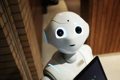 The Insurmountable Challenge of Formal Verification in AI: An On-going Debate