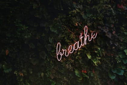 Harnessing Emotional Anchors to Navigate Stressful Times