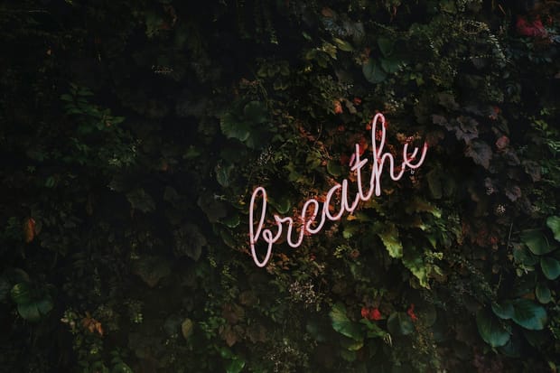 Harnessing Emotional Anchors to Navigate Stressful Times